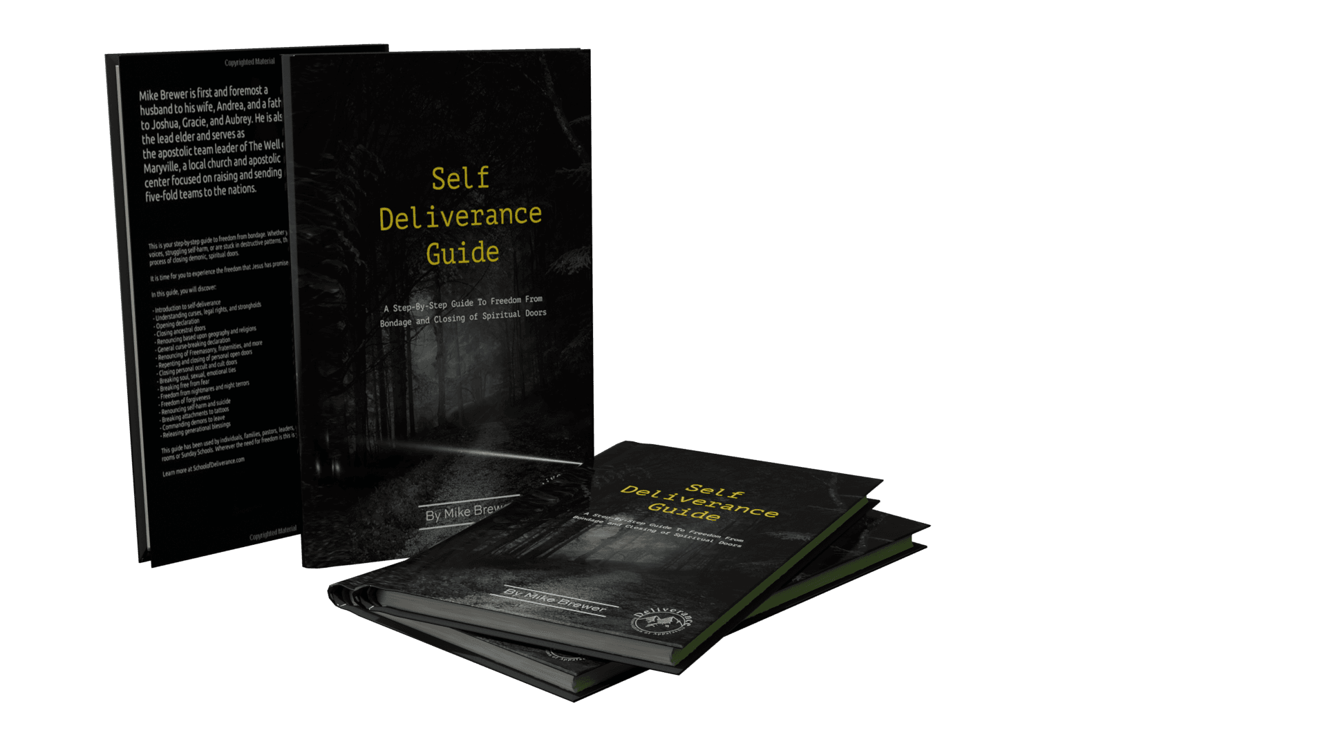 The Self-Deliverance Guide (PDF)